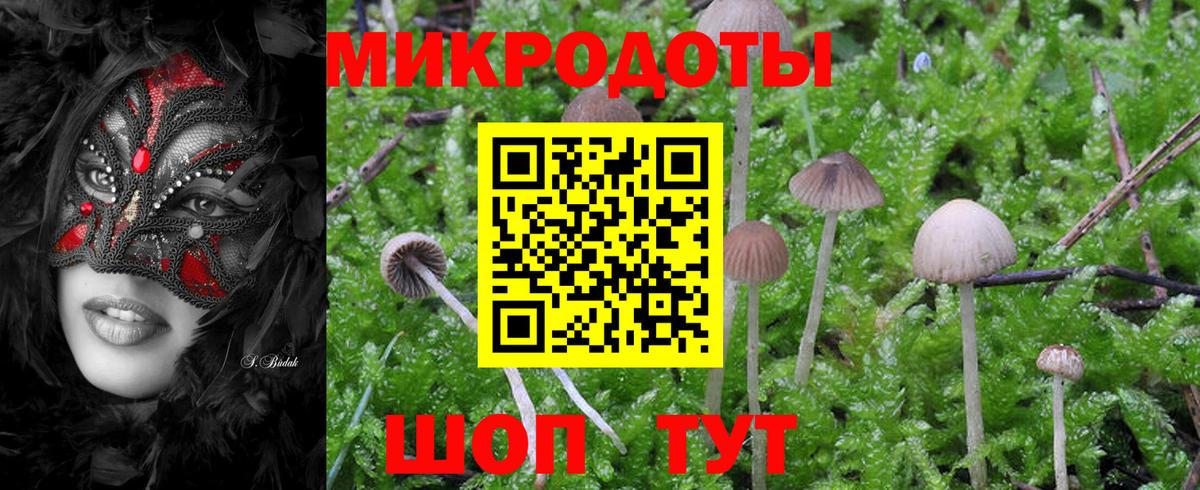 закладка  Вход с VPN  Аша  Псилоцибиновые грибы Magic Shrooms 